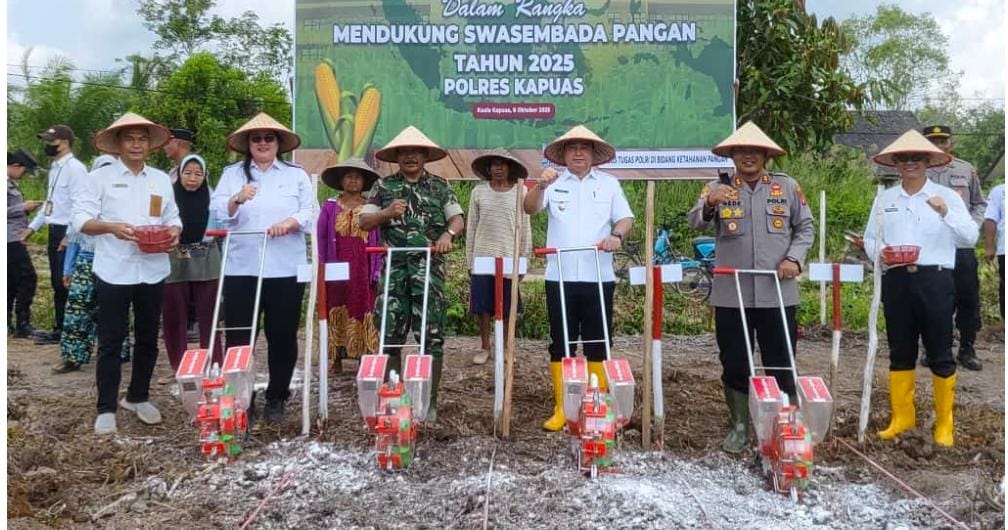 Desa Palingkau Sejahtera Tanam Jagung Serentak