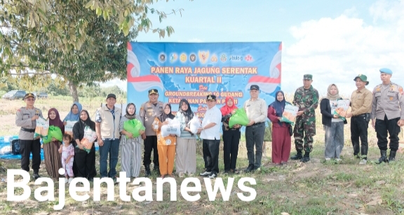 BUPATI HADIRI PANEN RAYA JAGUNG