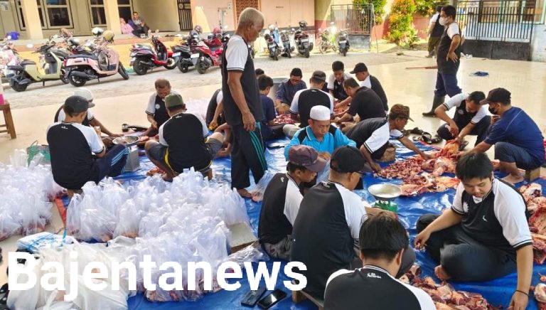 MUHAMMADIYAH KAPUAS SALURKAN HEWAN KURBAN BANTUAN GUBERNUR DAN BUPATI UNTUK WARGA